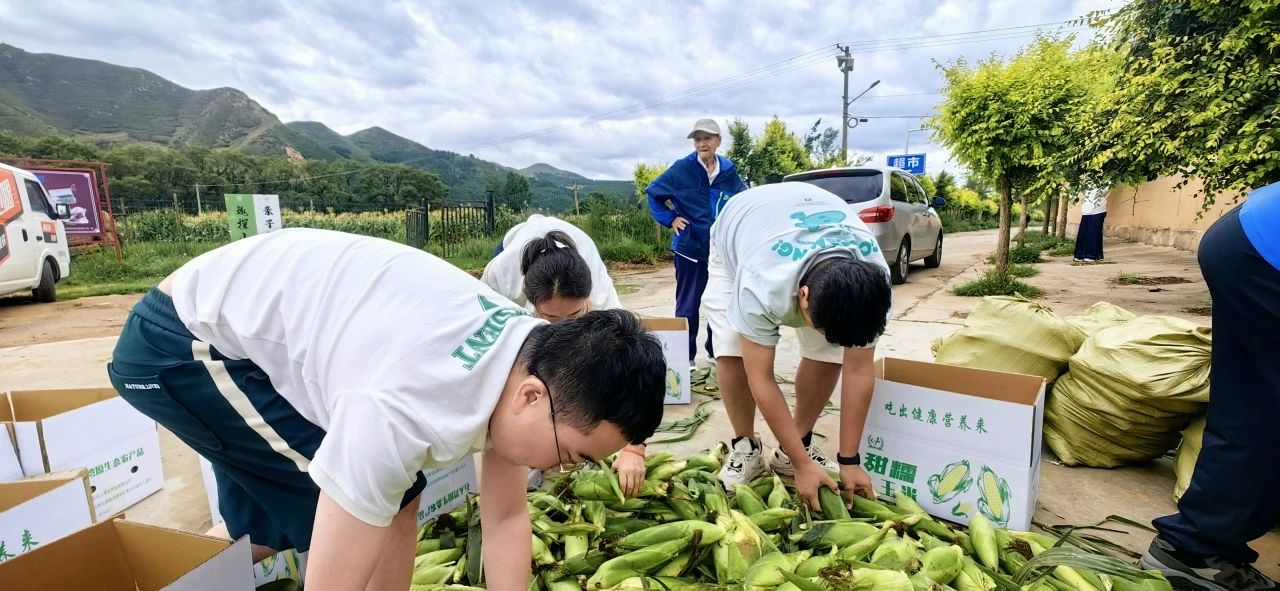 &#24320;&#20803;&#32593;&#31449;&#30331;&#24405;&#20837;&#21475;&#95;&#24320;&#20803;&#65288;&#20013;&#22269;&#65289;